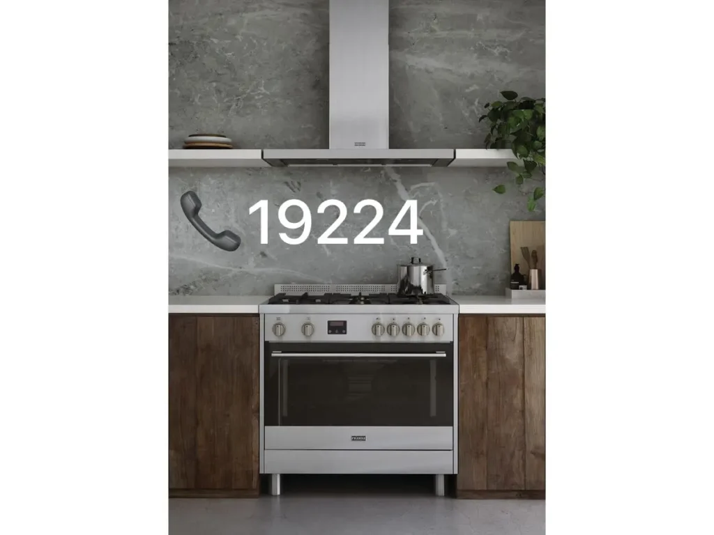 صيانة فرانكي